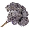 Sušené kvety Rebríček - Achillea 90g - vintage fialová