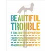 Beautiful Trouble: A Toolbox for Revolution (Andrew Boyd,Dave Oswald Mitchell)(Brožovaná)