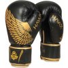 Boxerské rukavice DBX BUSHIDO B-2v17 12 oz