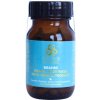 Nature Healing BRAHMI - pamäť, dusevná sila 60 kapsúl
