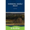 E-kniha Karneval nadějí - Karel Janotka
