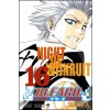 Bleach 16: Night of Wijnruit - Tite Kubo