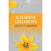 Dievča v zrkadle - Gillerová Katarína