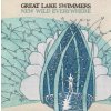 CD Great Lake Swimmers - NEW WILD EVERYWHERE