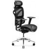 Čierne ergonomické kreslo Diablo V-COMMANDER, DIABLO V-COMMANDER__1114 SKL3