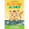 E-kniha Kocour Josef - Lenka Rožnovská