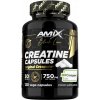 Amix Creatine Creapure Capsules 120 kapsúl