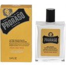 Proraso Wood and Spice balzam po holení 100 ml