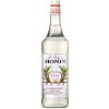 Monin Le Sirop Pure Cane Sugar Trstinový cukor 1 l
