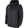 Nike Team Park 20 Fall CW6157 010