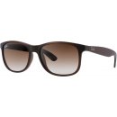 Ray-Ban 4202 607313