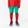 KIPSTA Detské futbalové šortky VIRALTO Club zelené 14-15 r (161-172 cm)