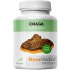 MycoMedica Chaga 90 kapsúl