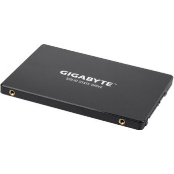 Gigabyte 256GB, GP-GSM2NE3256GNTD