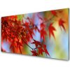 Nástenný panel Listy príroda 100x50 cm