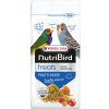 VERSELE-LAGA NutriBird treats FRUTTI PATEE 250g