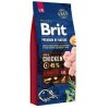 Brit Premium by Nature Senior L + XL 15 kg