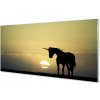 Nástenný panel Pole sunset jednorožec 100x50 cm