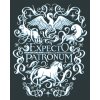 ZUTY Maľovanie podľa čísel - PLAGÁT EXPECTO PATRONUM (HARRY POTTER) Rámovanie: bez rámu a bez vypnutia plátna, Rozmer: 40x50 cm