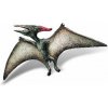 Pteranodon Museum Line