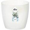 ELHO Brussels Orchid transparent 12,5 cm