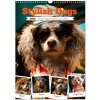 Stylish Dogs Wall DIN A3 portrait CALVENDO 12 Month Wall 2024