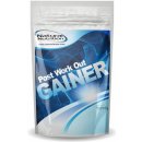 Natural Nutrition Gainer 1000 g