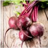 Bio cvikla Detroit 2 - Beta vulgaris var. vulgaris - predaj bio semien - 50 ks