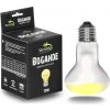 Terrario Bogande Basking Sun Light 75 W