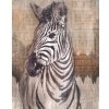 Komar Vliesová fototapeta Zebra 200 x 250 cm