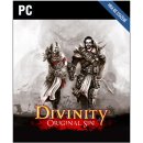 Divinity: Original Sin