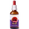 Trávníček Dračia krv - Reishi tinktúra 50 ml