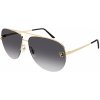 Cartier CT0065S 001