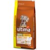 Ultima Medium / Maxi Adult Chicken & Rice - 18 kg