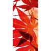 Dimex fototapeta Červené listy S-478 | 110 x 220 cm (Vliesová fototapeta | lepidlo zdarma)