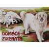 Domáce zvieratá - Pokorná Alena
