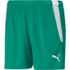 Puma | teamLIGA Shorts W | zelená| M