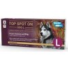 Top spot on Dog L