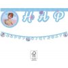 Procos Banner - Frozen Wind Spirit