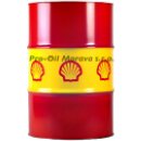 Shell Rimula R6 M 10W-40 55 l