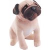 Pes sa zvukom Pug