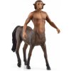 Figúrka Schleich Harry Potter - Firenze 13986 (4059433713151)