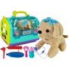 LEAN TOYS Veterinárna súprava so psíkom a prepravkou
