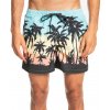 Quiksilver Everyday Paradise Volley 15 BGD6/Angel Blue