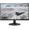 LCD monitor 25