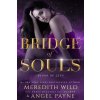 Bridge of Souls: Blood of Zeus: Book Four (Wild Meredith)