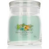 Yankee Candle ALOE & AGAVE signature 368 g