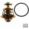 Regulus Termočlánok k ventilu TSV 3B a 5B - 70 °C 16097