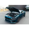 Ford Mustang Dark Horse 334 kW