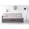 Ahorn DUOVITA 90 x 200 lamela - rozkladacia posteľ a sedačka 90 x 200 cm s područkami - dub svetlý / hnedý / agát, lamino